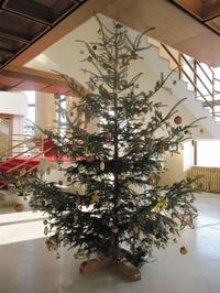Vianočný stromček vo vestibule parlamentu sa pre svoju výšku zmestil len ku schodom.