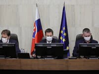 Igor Matovič, Eduard Heger a Roman Mikulec na vláde Igor Matovič, Eduard Heger a Roman Mikulec na vláde