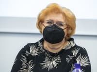 Generálna riaditeľka sekcie sociálnych štatistík a demografie Ľudmila Ivančíková