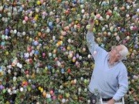 Volker Kraft a jeho zvláštny strom Volker Kraft a jeho zvláštny strom