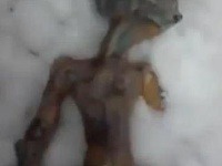 Telo mimozemšťana boli v skutočnosti kuratá poskladané dokopy Telo mimozemšťana boli v skutočnosti kuratá poskladané dokopy