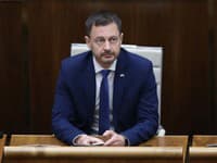 Eurokomisára pri stretnutí ubezpečoval,