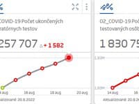 Štatistiky Koronavírusu ku 20.8.2022 