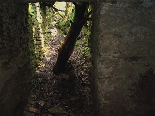 Pod bunkrom v Javorine