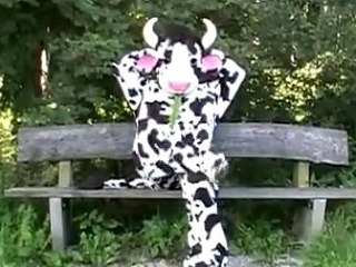 O zatúlanej krave Yvonne