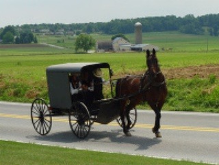 Amiši odmietli dať si