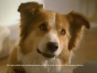 Jedinečná reklama pre psy!