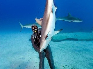 Žena dokázala nemožné: Žralok