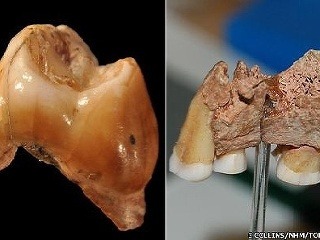 Najstaršie ostatky Homo sapiens