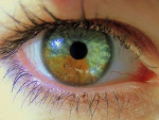 Vedci tvrdia, že oči