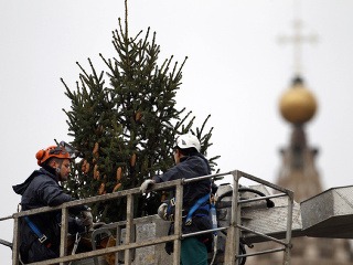 Vianočný strom vo Vatikáne