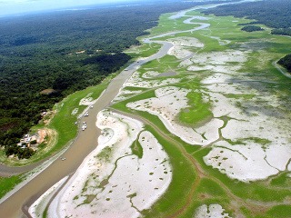 Odlesňovanie Amazonského pralesa je