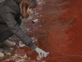 Krvavá rieka šokovala ľudí: