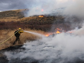 Pred požiarmi v Nevade