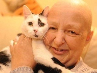 Mačka záchrankyňa: Objavila rakovinu,