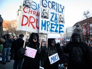 Protest Gorila je už
