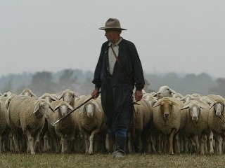 Zoznam dlžníkov: Pastier oviec