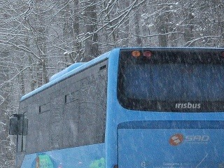 Autobus zišiel do priekopy