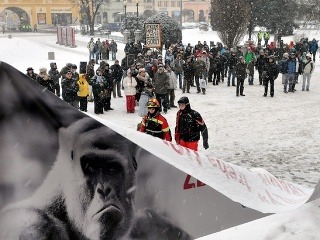 Protest Gorila 2 na