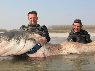 Obrovská ryba postrašila Nemcov: