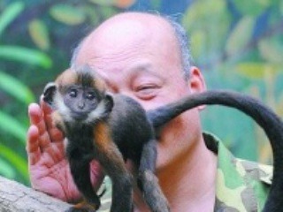 Muž chcel zachrániť opičku: