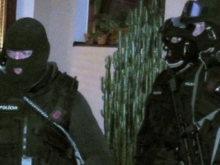 Veľké zatýkanie pre verejné