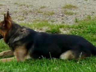 Nočný záťah tínedžerov v