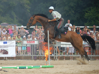 Kôň 2012 (PR)