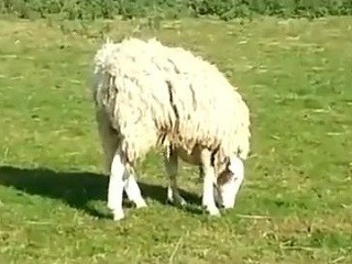 VIDEO V Anglicku sa