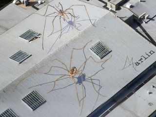 Invázia gigantických pavúkov: 200-metrové