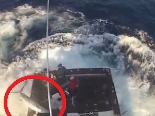 Dramatické VIDEO: Obrovská ryba