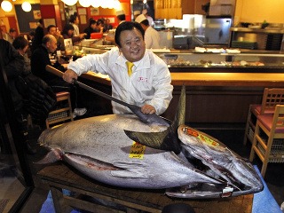V Japonsku vydražili tuniaka