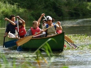 Dunajský „prales“ za bránami