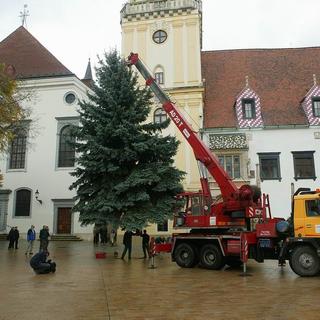 Darovali mestu vianočný strom