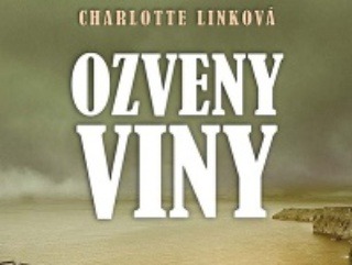 Kto zastaví psychicky narušeného