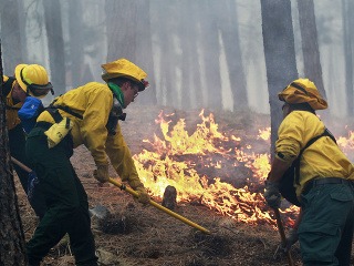Lesné požiare v Colorade
