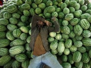 Úradníci ubili predavača melónov
