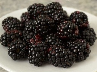 Černice výborne chutia a