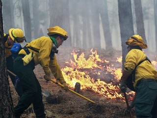 Lesné požiare v Colorade