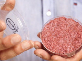 Syntetické mäso bude základom