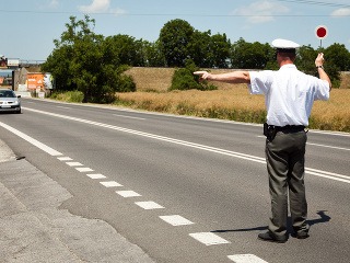 policajné hliadky, kontrola