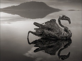 Strašidelné fotografie z jazera