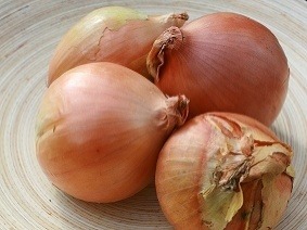 Bez cibule sa nezaobíde