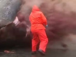 VIDEO Vorvaň explodoval počas