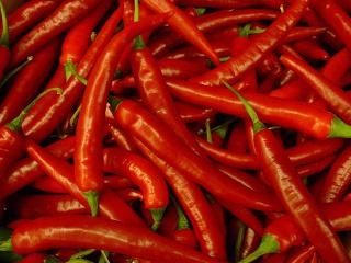 Chilli papričky sa dajú