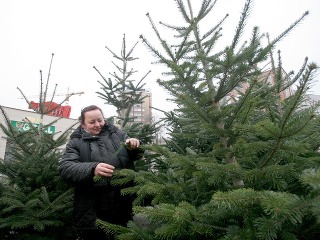 Nákup vianočného stromčeka