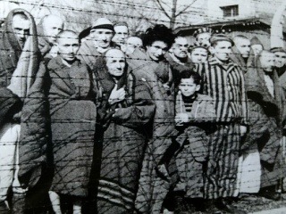 Oslobodenia Osvienčimu sa dožilo