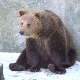 Zoo Bojnice: Majú najviac