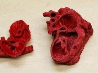 Srdce vytlačené na 3D