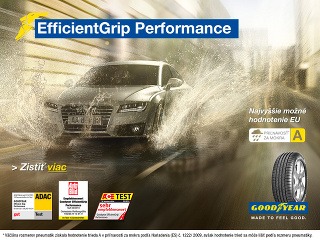 Goodyear EfficientGrip Performance